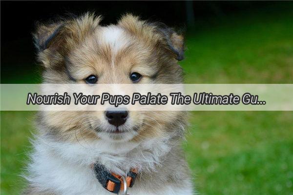 Nourish Your Pups Palate The Ultimate Guide to Choosing the Perfect Dog Canned Food